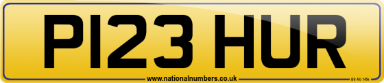 P123 HUR