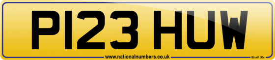 P123 HUW