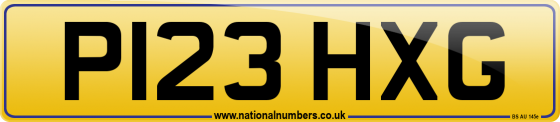 P123 HXG