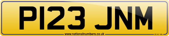 P123 JNM