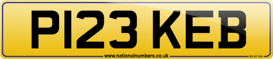 P123 KEB