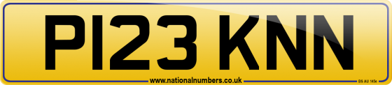 P123 KNN