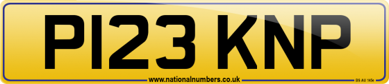 P123 KNP