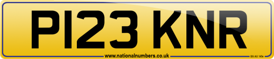 P123 KNR