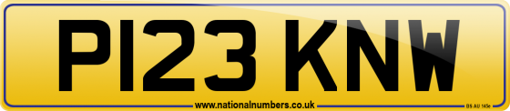 P123 KNW