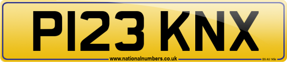 P123 KNX