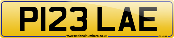 P123 LAE