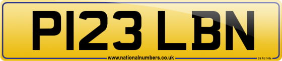 P123 LBN