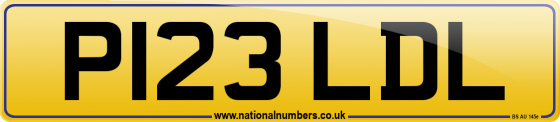 P123 LDL
