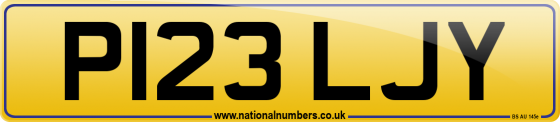 P123 LJY