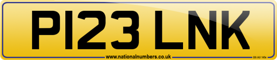 P123 LNK