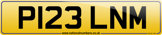 P123 LNM