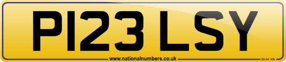 P123 LSY