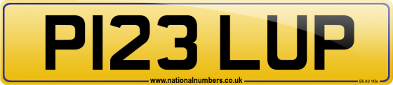 P123 LUP