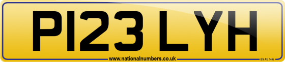 P123 LYH