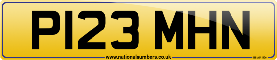 P123 MHN