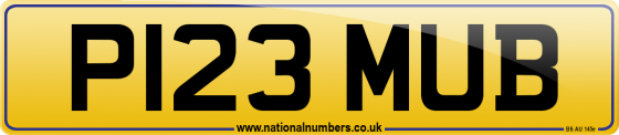 P123 MUB