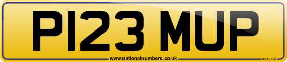 P123 MUP