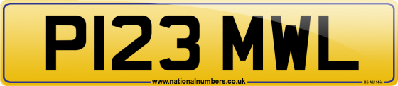 P123 MWL