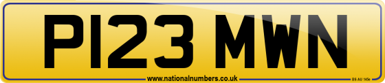 P123 MWN