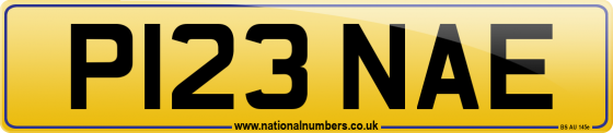 P123 NAE