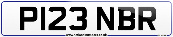 P123 NBR