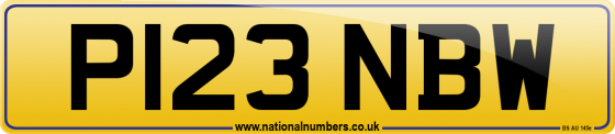 P123 NBW