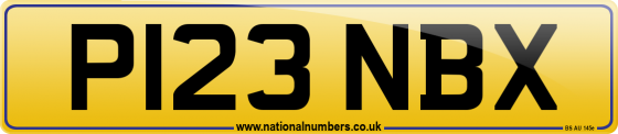 P123 NBX