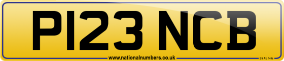 P123 NCB
