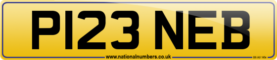 P123 NEB