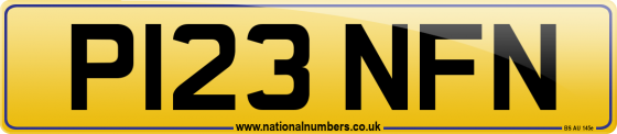 P123 NFN