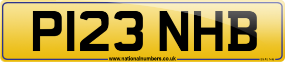 P123 NHB