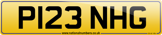 P123 NHG