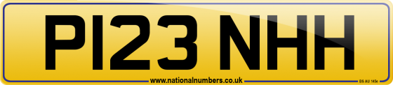 P123 NHH