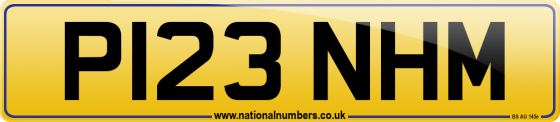 P123 NHM