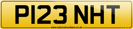 P123 NHT