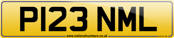 P123 NML
