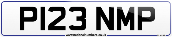 P123 NMP