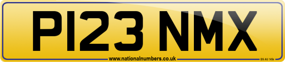 P123 NMX