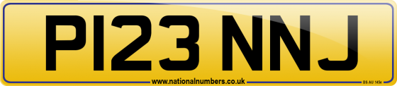 P123 NNJ