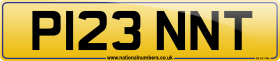 P123 NNT