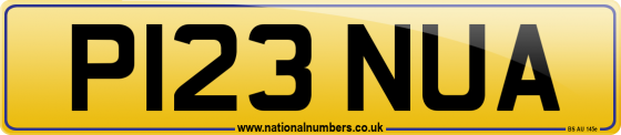 P123 NUA