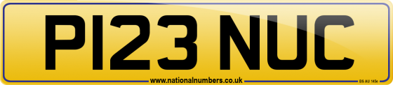 P123 NUC