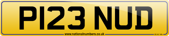 P123 NUD