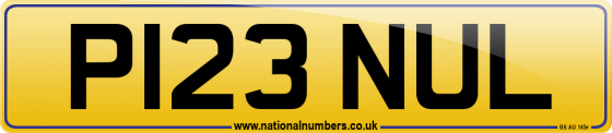 P123 NUL