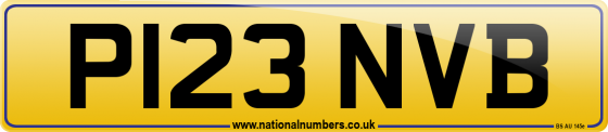 P123 NVB