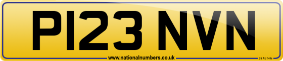 P123 NVN