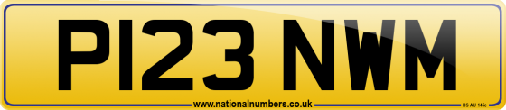 P123 NWM