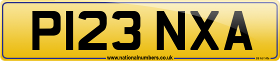 P123 NXA