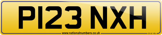 P123 NXH